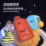QQ-Box Rechargeable Disposable Vape 5000 Puffs E-liquid volume 13ml